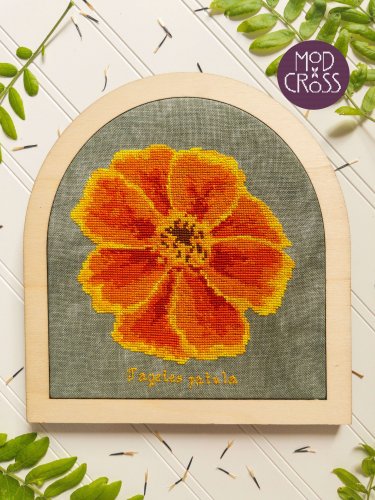 (image for) Marigold